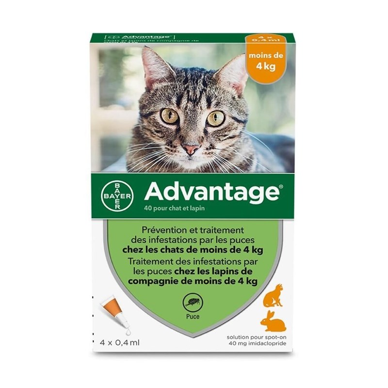 Pipettes antiparasitaire chat &nbsp; lapin advantage 40 (0-4 kg) - bayer