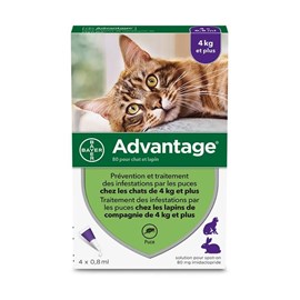 Pipettes antiparasitaire chat &nbsp; lapin advantage 80 (4-10 kg) - bayer