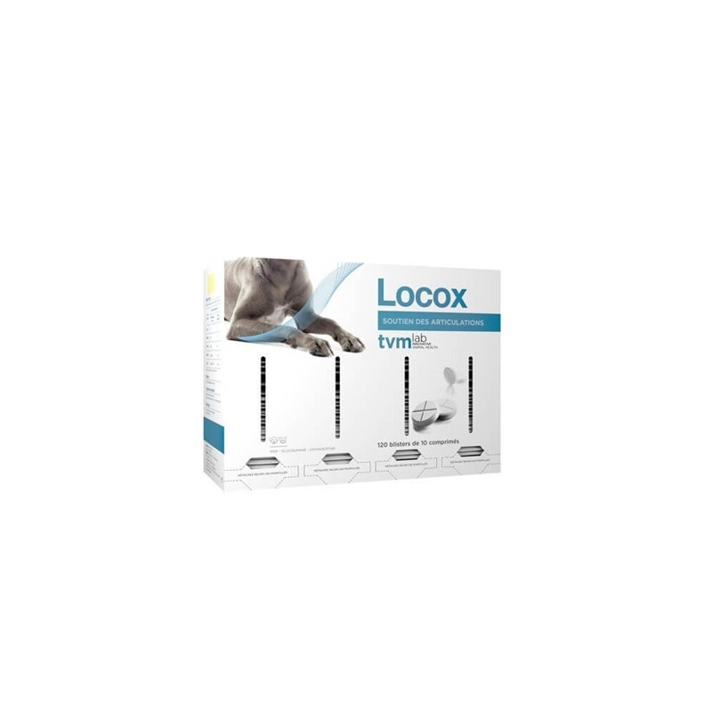 Tvm - Locox - tvm