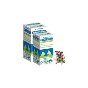 Complément alimentaire articulation - pernacox