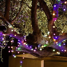 Lot de 2 guirlandes solaires multicolore billy