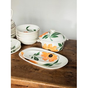 Service de vaisselle de gien 40 pièces n°518