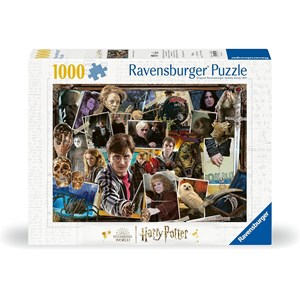 Puzzle harry potter contre voldemort 100