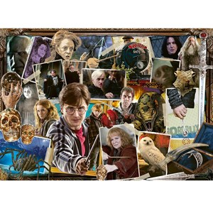 Puzzle harry potter contre voldemort 100