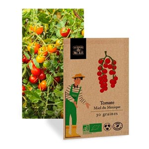 Sélection - les tomates de balcon