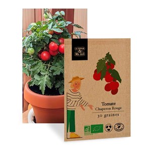 Sélection - les tomates de balcon