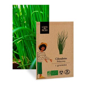 Sélection - les aromates au top