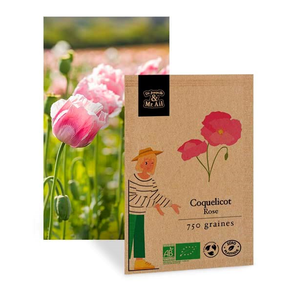 Coquelicot rose - graines bio
