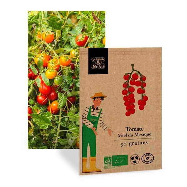 Tomate cerise miel du mexique - graines bio
