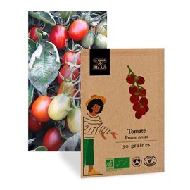 Tomate prune noire - graines bio