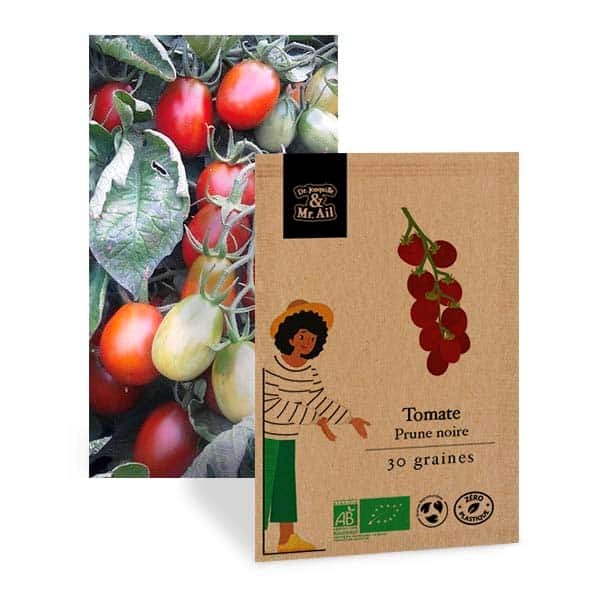 Tomate prune noire - graines bio