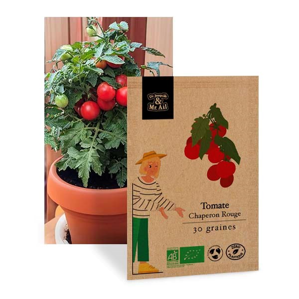 Tomate chaperon rouge - graines bio
