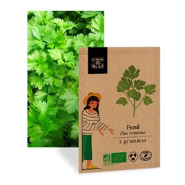 Persil plat - graines bio