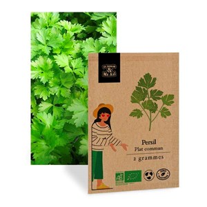 Persil plat - graines bio
