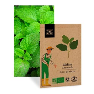 Mélisse citronnelle - graines bio