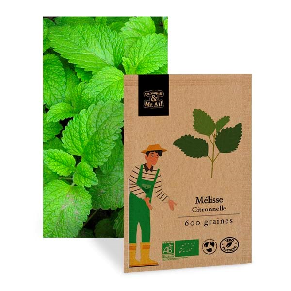 Mélisse citronnelle - graines bio