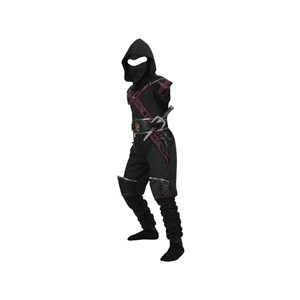 Costume ninja de luxe 4-6 ans