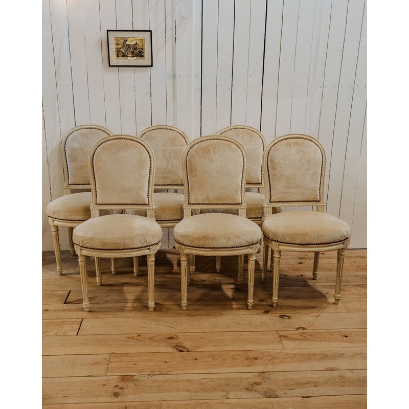 Lot de 6 chaises en bois et velours n°1199