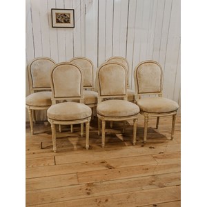 Lot de 6 chaises en bois et velours n°1199