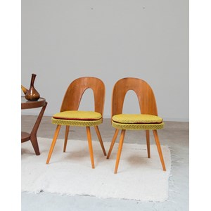 Paire de chaises scandinaves antonin suman n°1191