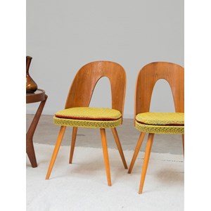 Paire de chaises scandinaves antonin suman n°1191