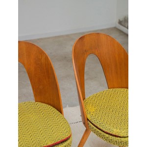 Paire de chaises scandinaves antonin suman n°1191