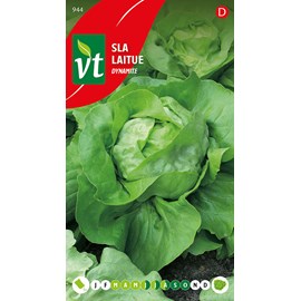 Laitue dynamite - ca. 0,6 gr (livraison gratuite)