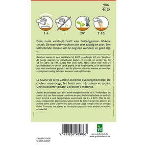 Tomate rose de bern - ca. 0,2 gr (livraison gratuite)