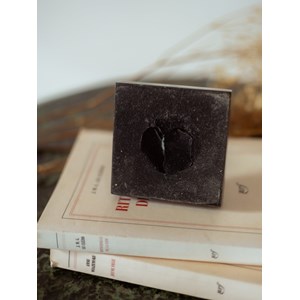 Alix, le jeune homme en bronze n°565