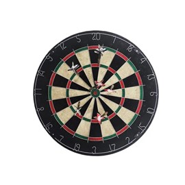 Cible avec flechettes pointe acier