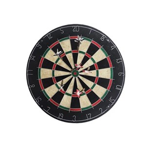 Cible avec flechettes pointe acier