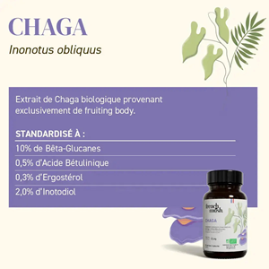 Gélules à l’extrait de chaga peau éclatante et vitalité 56 gélules french mush