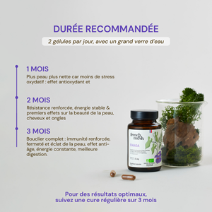 Gélules à l’extrait de chaga peau éclatante et vitalité 56 gélules french mush