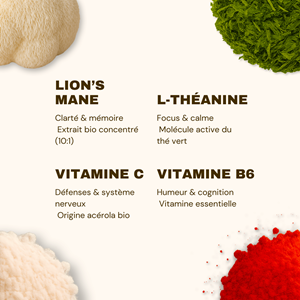 Gummies focus concentration, clarté mentale et énergie 3 pots french mush