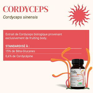 Gélules pack mental & énergie concentration et vitalité french mush