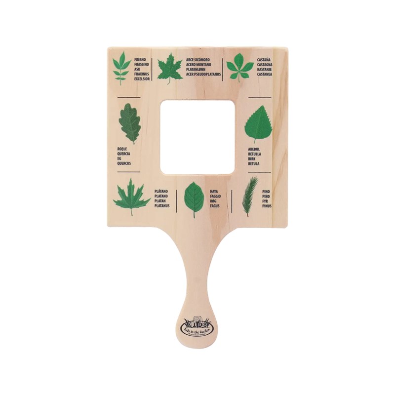 Cadre explorateur - feuilles d'arbres