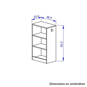 Petite bibliothèque mobile