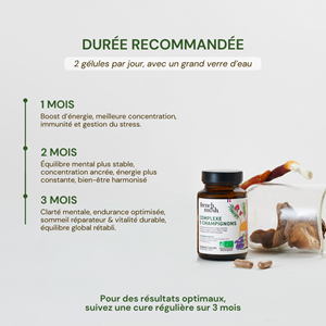 Gélules complexe 5 champignons énergie immunité tonus 56 gélules french mush