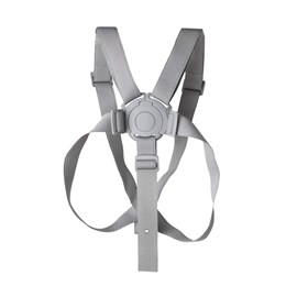 Harnais sécurité 5 points