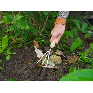 Griffe 3 dents en acier inoxydable, manche bois fsc - nature