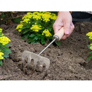 Râteau à fleurs 5 dents en acier inoxydable, manche bois fsc
