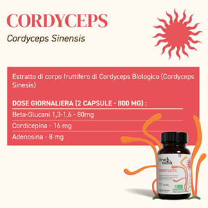 Gélules extrait de cordyceps performance endurance 112 french mush