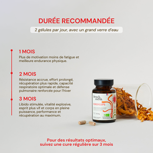 Gélules extrait de cordyceps performance endurance 112 french mush