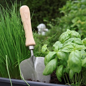 Pelle à transplanter à main