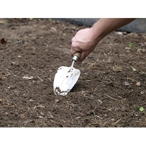 Pelle à transplanter à main