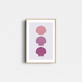 Affiche – coquillages