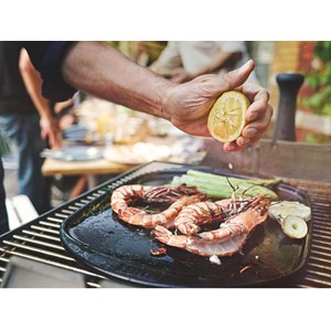 Plaque plancha céramique pour barbecue weber grand modèle 48 x 34,5 cm