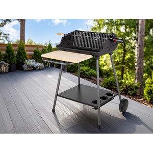 Barbecue charbon bergamo - somagic