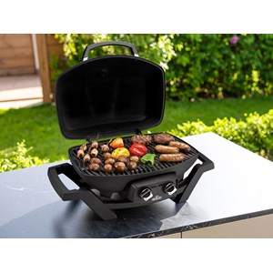 Barbecue à gaz travel q pro 285 - napoleon