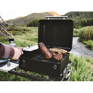 Barbecue à pellets portable ranger - traeger